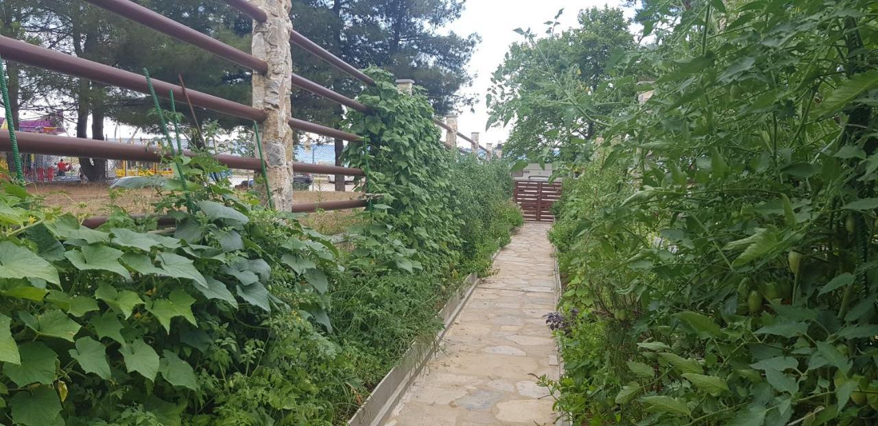 Hatzoudis Luxury Suites Chrisi Ammoudia Exterior foto